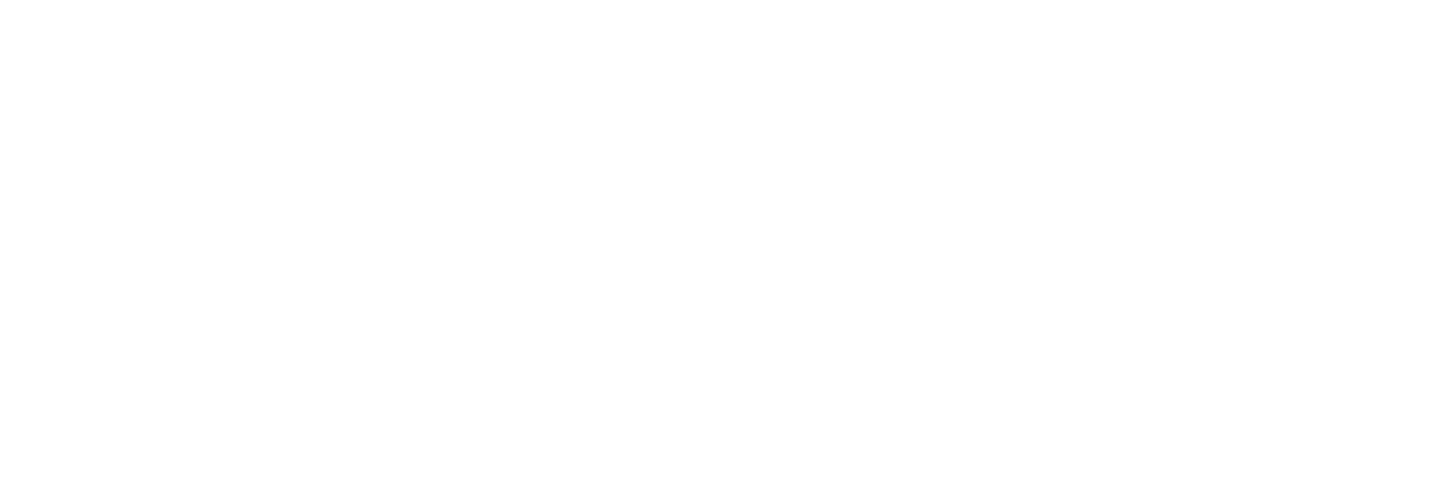 WAOSA-logo4